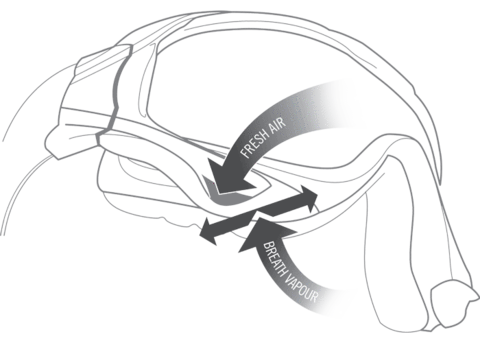Shore Goggle Standard diagrama